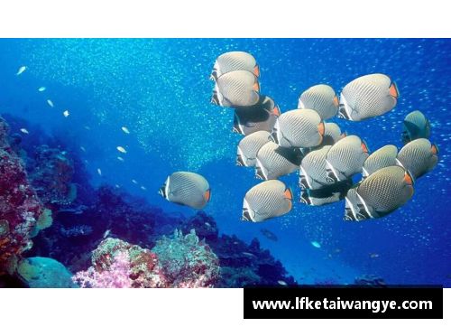 KY开元集团青岛国信水产新推出海洋生物保护项目，引领环保潮流